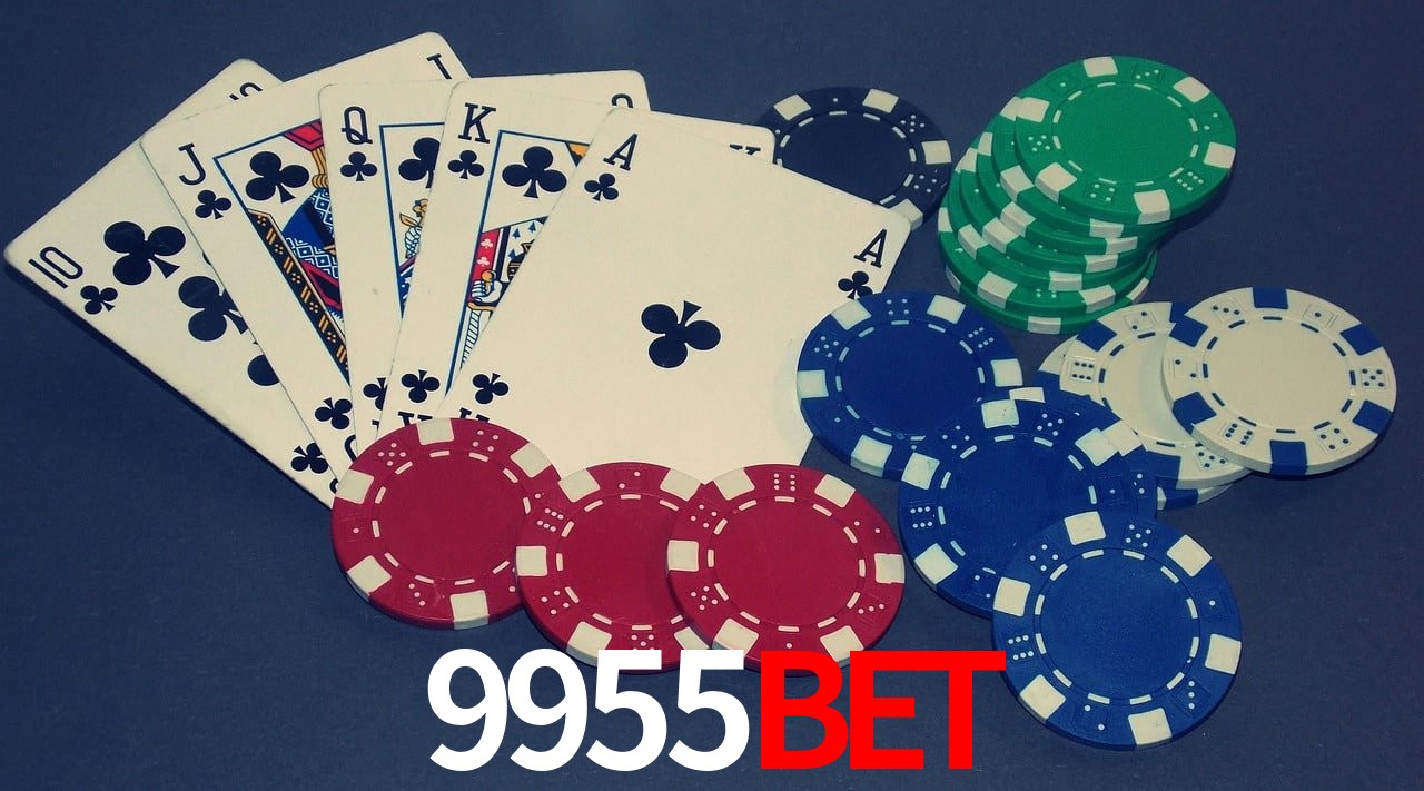 Experiência VIP 9955Bet